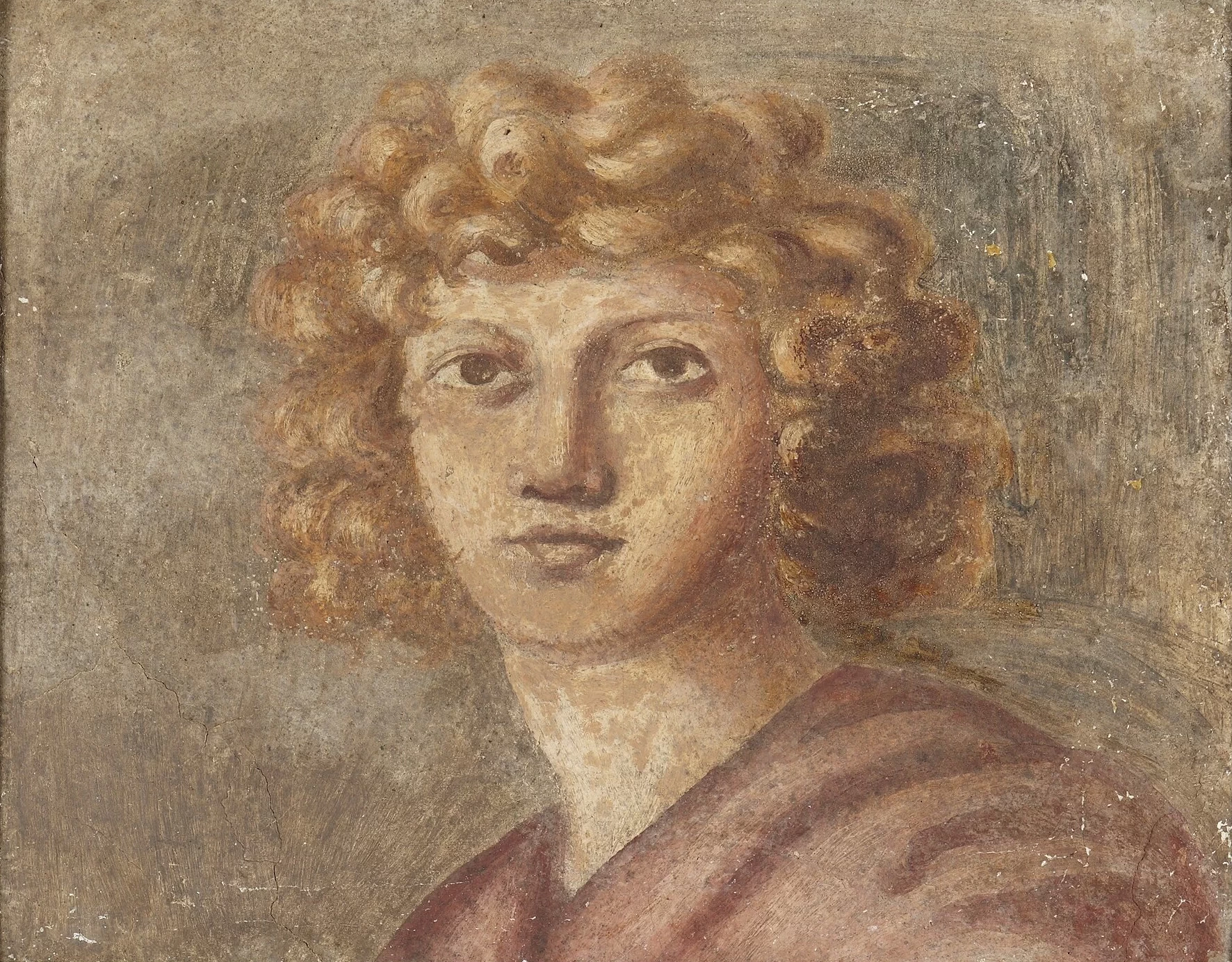 Perin del Vaga - 177, Capo di una Gioventù, Princeton University Art Museum
